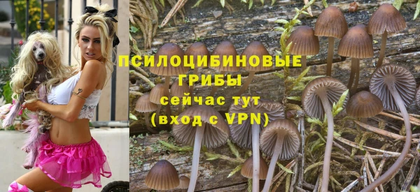каннабис Белокуриха