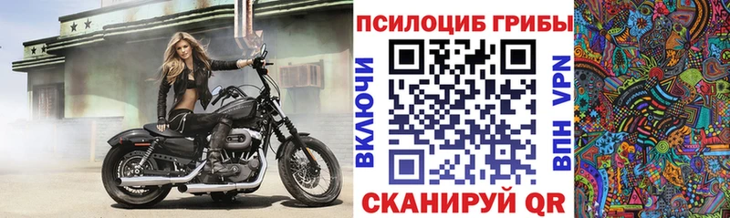 Псилоцибиновые грибы прущие грибы  Краснокаменск 